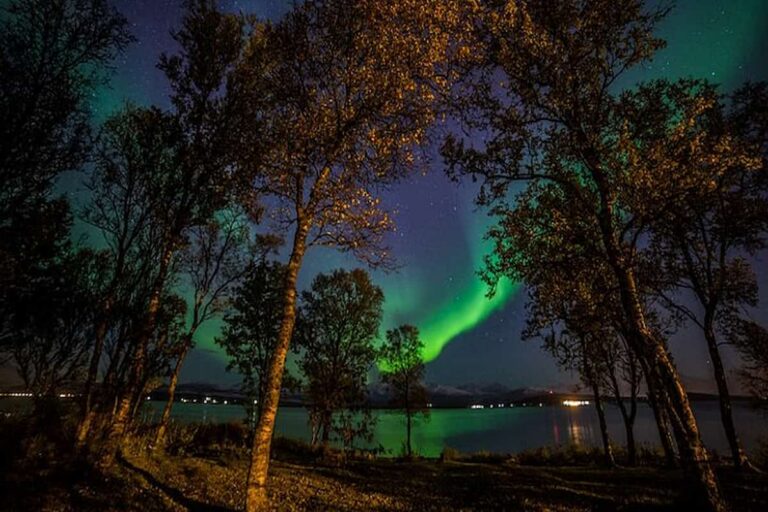 Tromsø Northern Lights