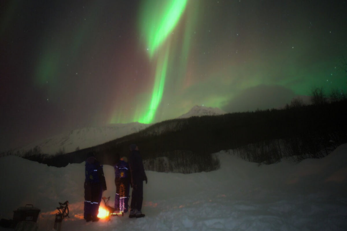 Tromsø Aurora Northern Lights Tour