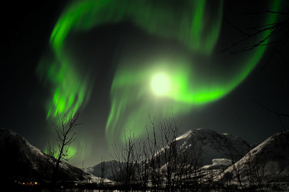 Tromsø Aurora Northern Lights Tour