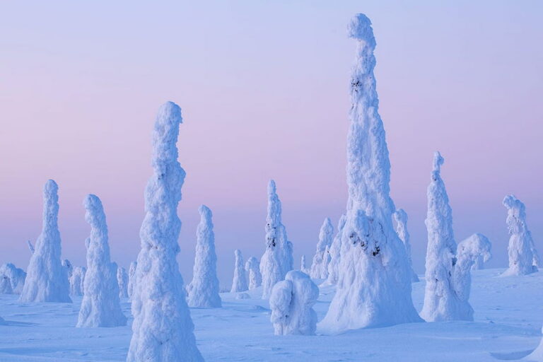 Riisitunturi Wilderness Adventure