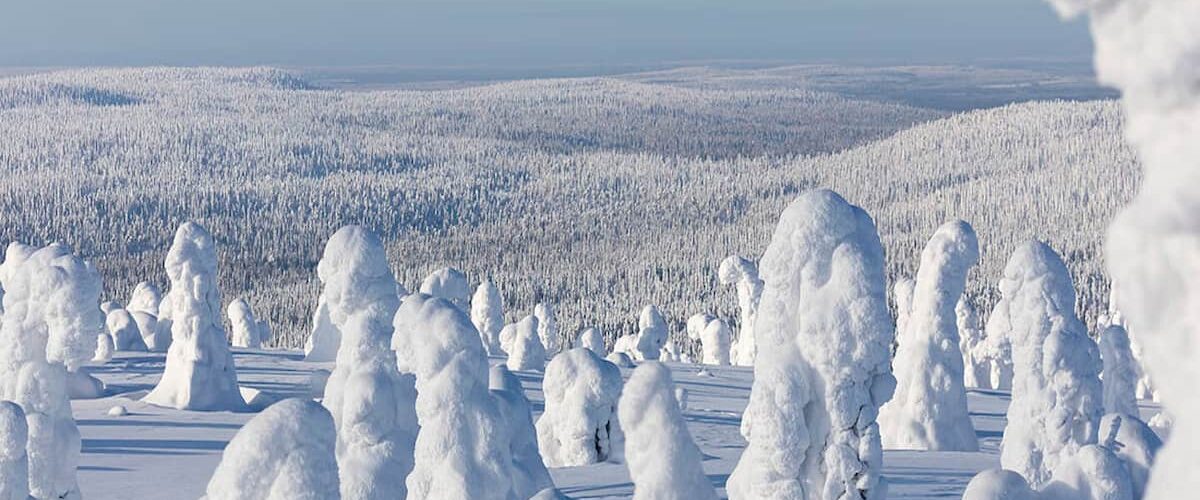 Riisitunturi Wilderness Adventure