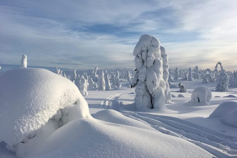 Riisitunturi Wilderness Adventure