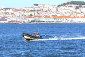 Lisbon Dolphin Watching