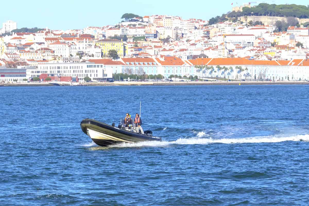 Lisbon Dolphin Watching
