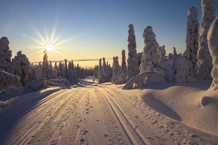 Riisitunturi Wilderness Adventure
