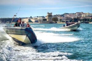 Lisbon Dolphin Watching