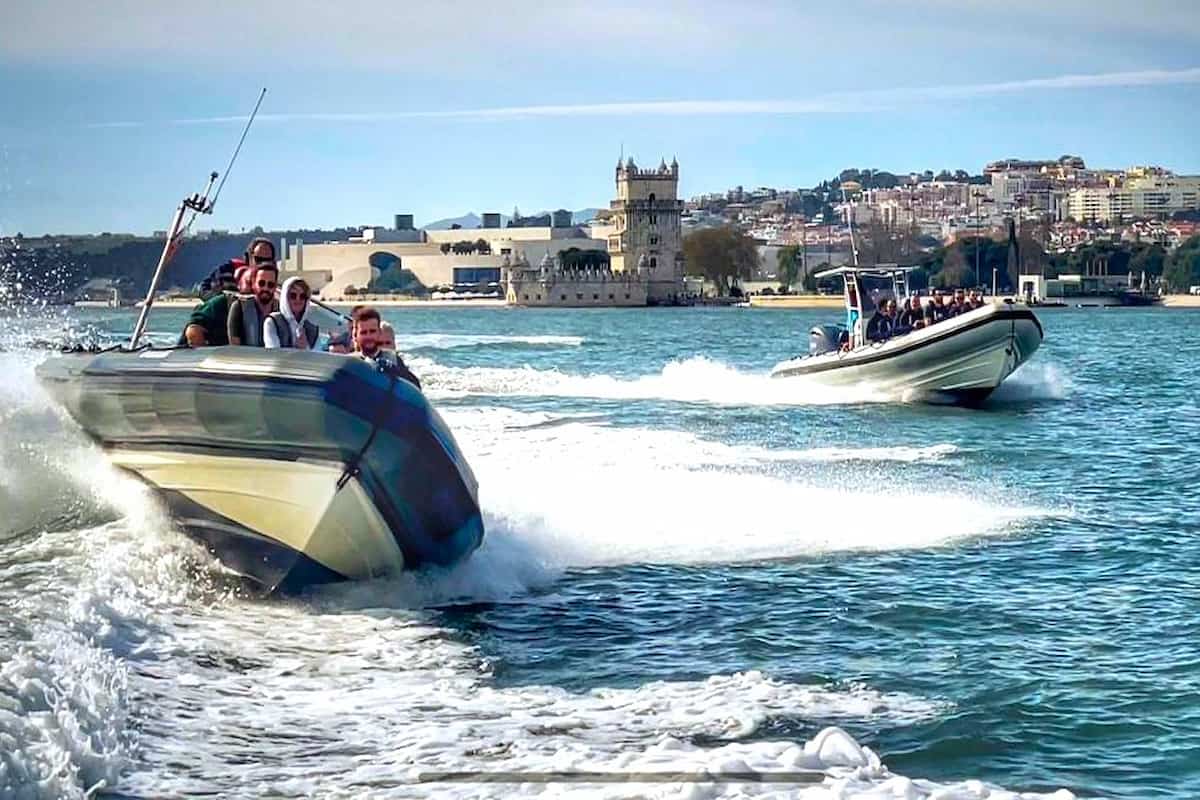 Lisbon Dolphin Watching