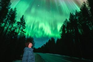 Rovaniemi Northern Lights Tour