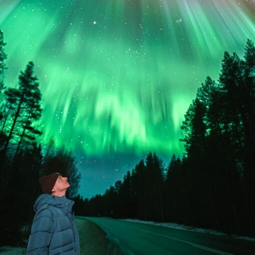 Rovaniemi Northern Lights Tour