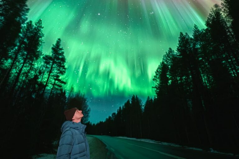 Rovaniemi Northern Lights Tour
