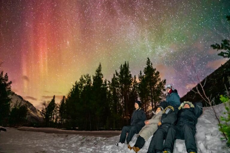 Tromsø Northern Lights Tour