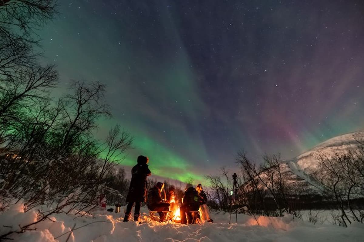 Tromsø Northern Lights Tour