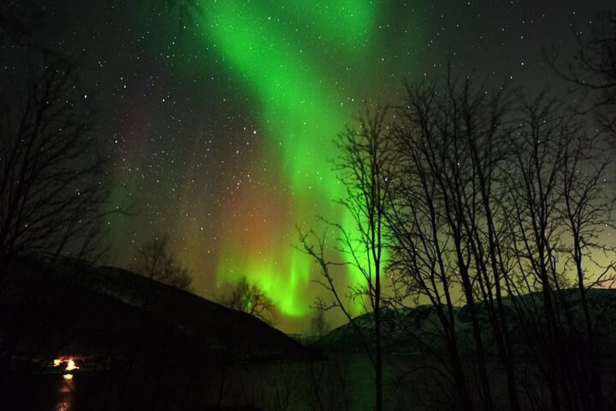 Tromsø Northern Lights Tour