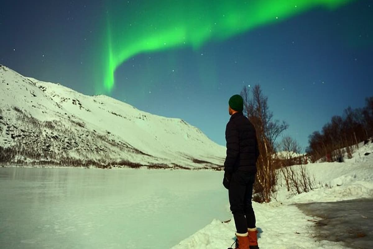 Tromsø Northern Lights