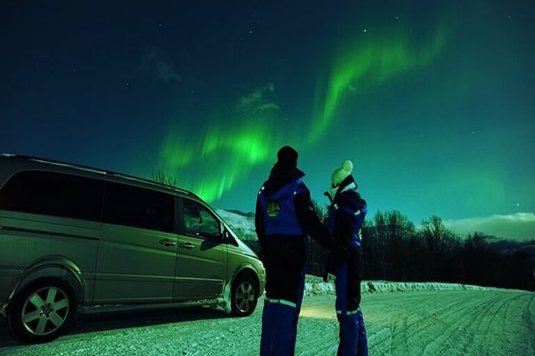 Tromsø Northern Lights Experience