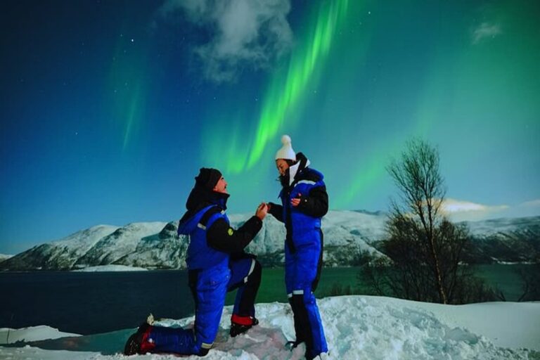 Tromsø Northern Lights