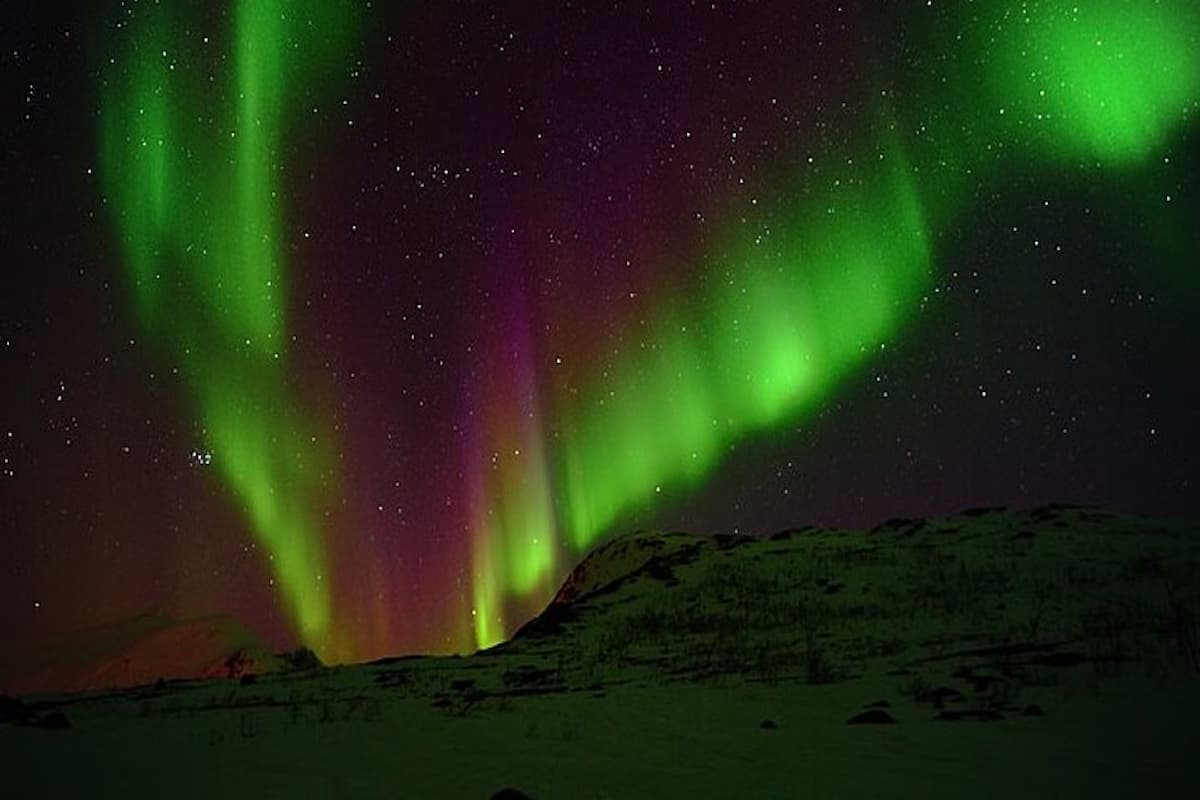 Tromsø Northern Lights Tour