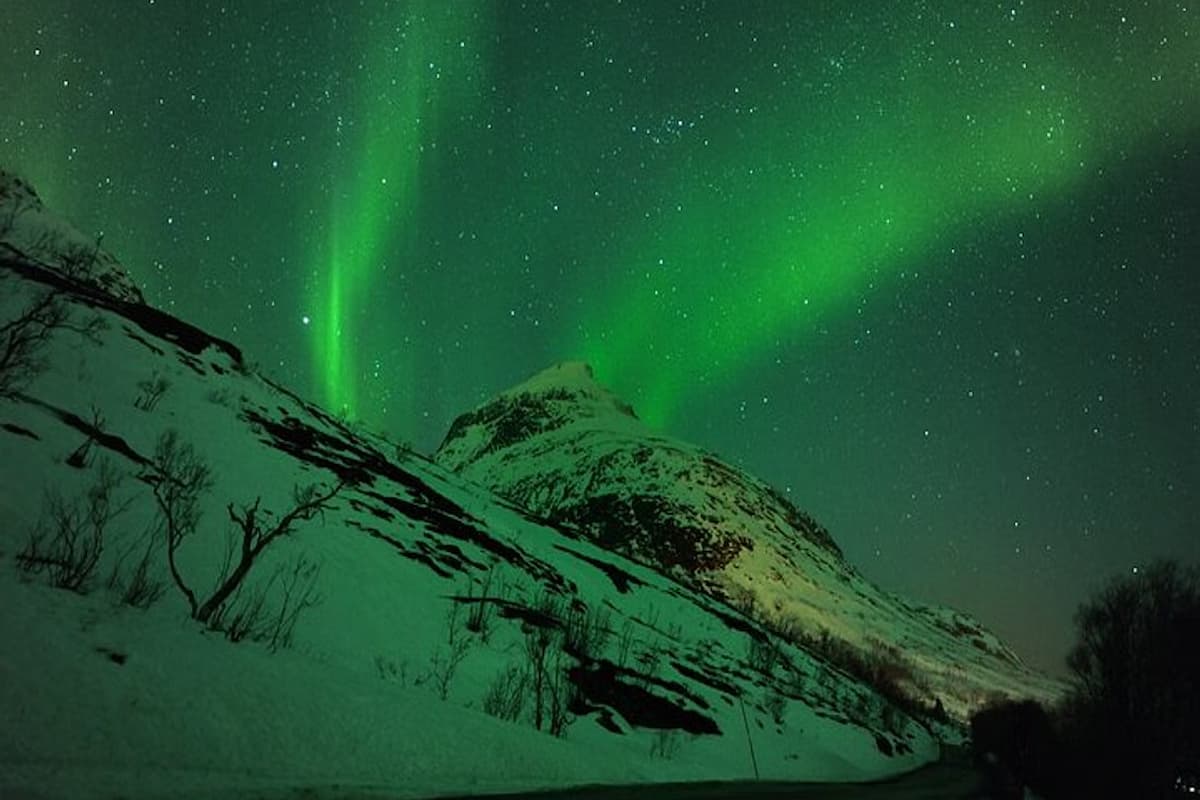 Tromsø Northern Lights Tour