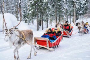 Rovaniemi Reindeer Ride