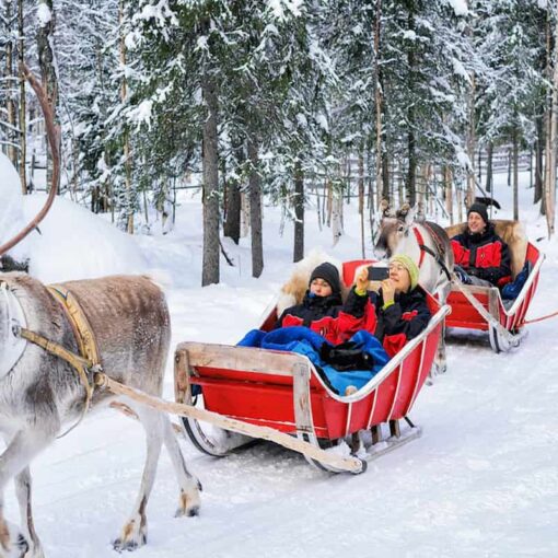 Rovaniemi Reindeer Ride