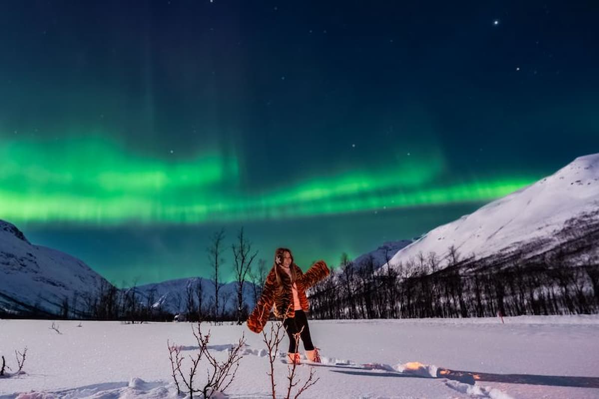 Tromsø Northern Lights Tour