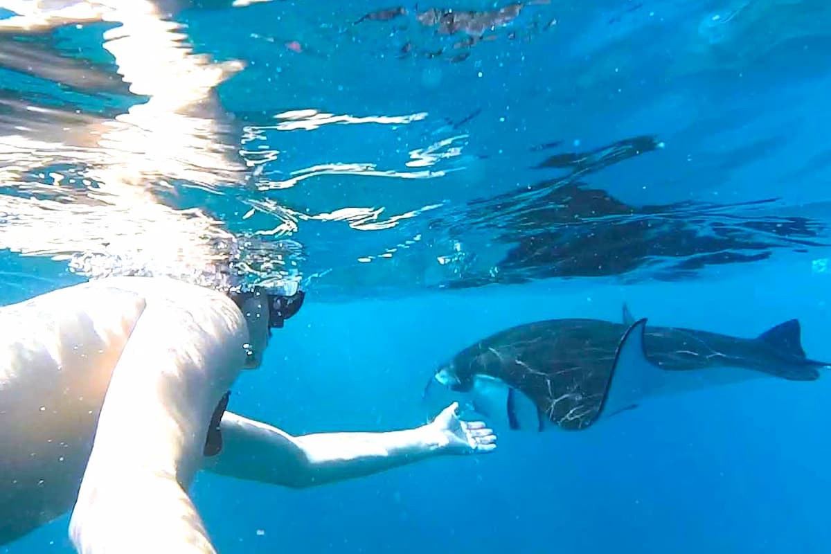 Nusa Penida Manta Point Snorkeling