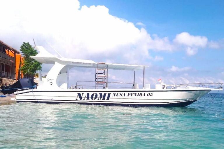 Nusa Penida Manta Point Snorkeling
