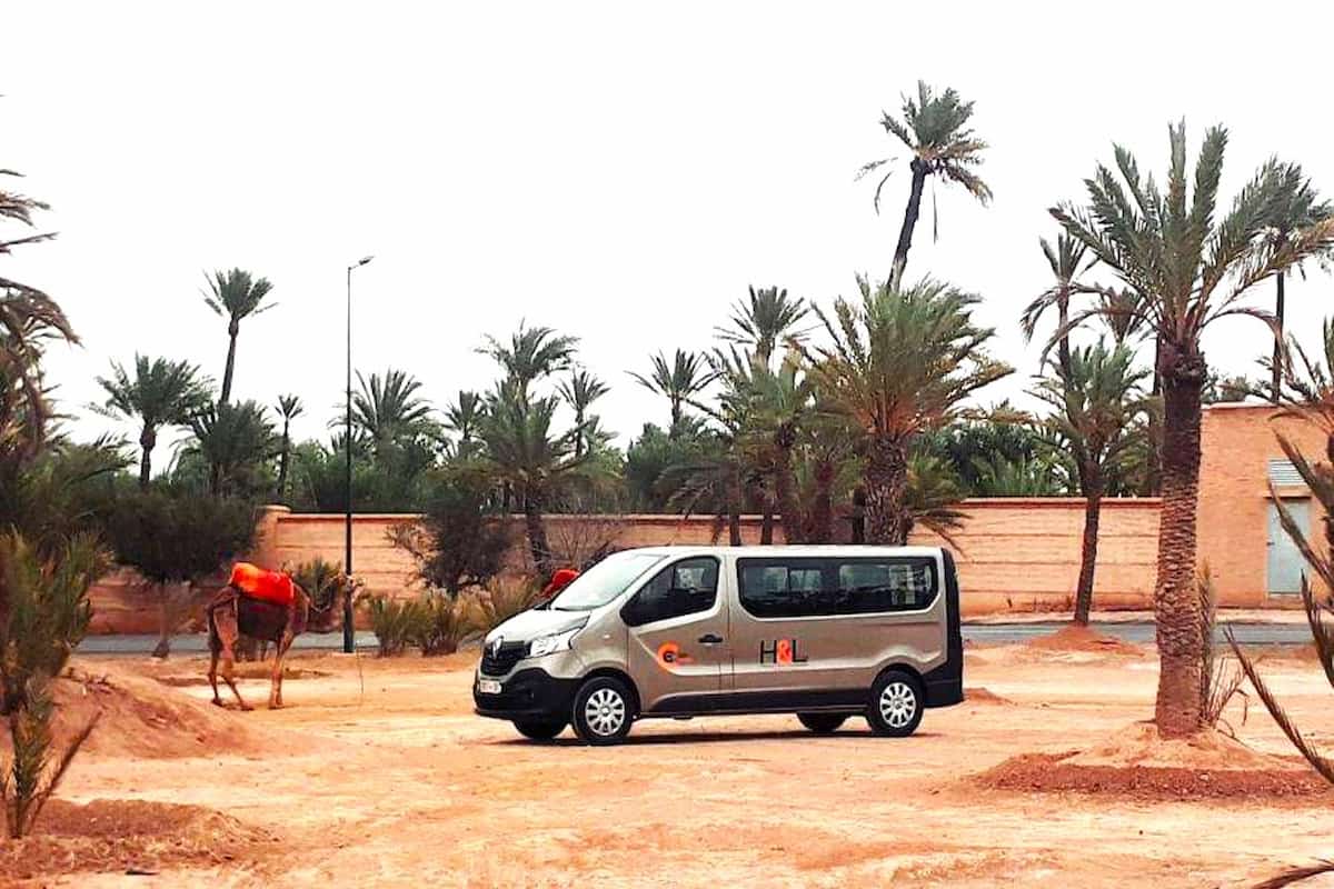 Buggy Ride From Marrakech