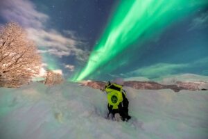 Tromsø Northern Lights Tour
