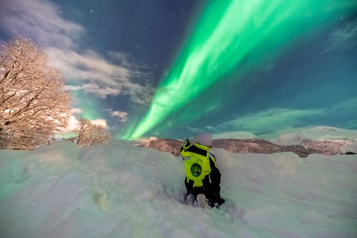 Tromsø Northern Lights Tour