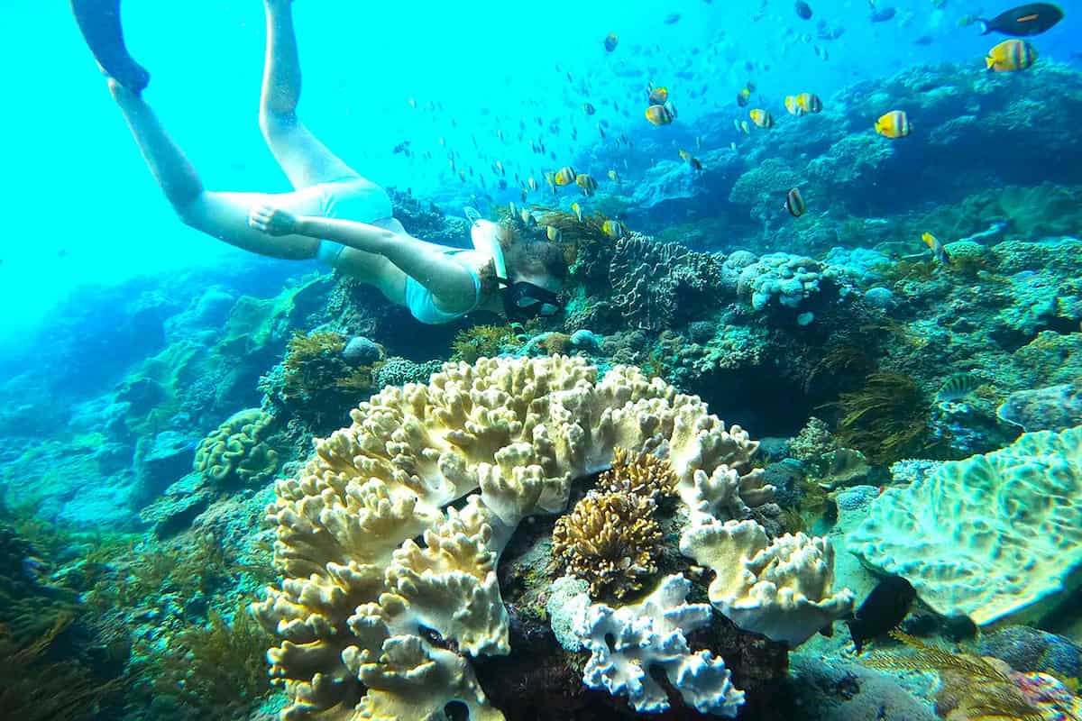 Nusa Penida Manta Point Snorkeling