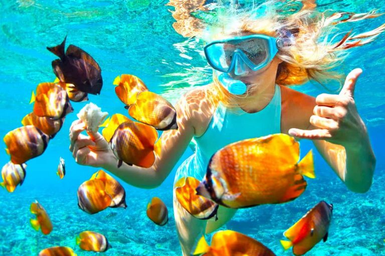 Nusa Penida Manta Point Snorkeling