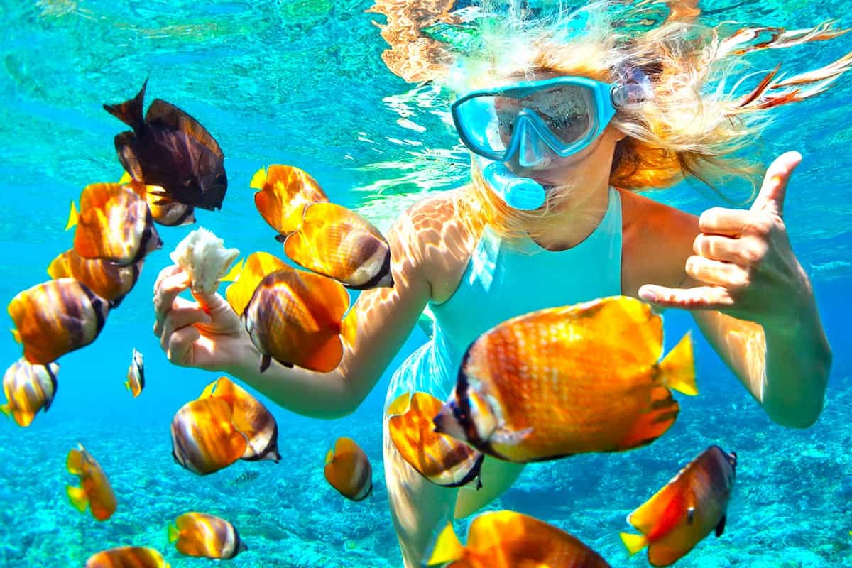 Nusa Penida Manta Point Snorkeling