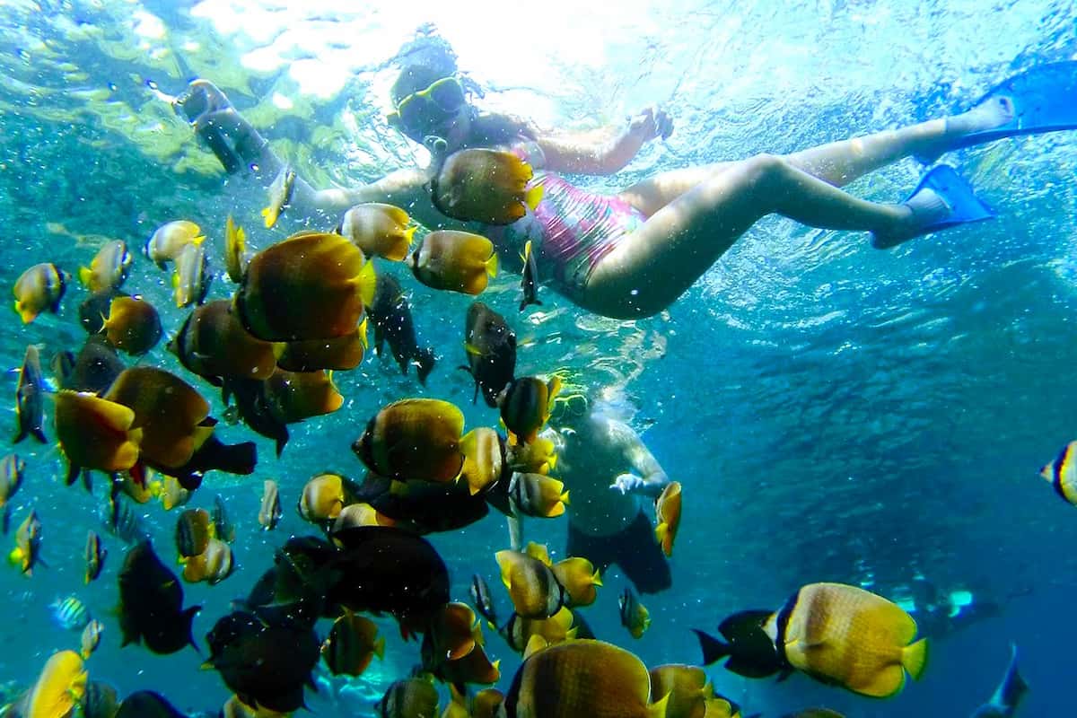Nusa Penida Manta Point Snorkeling