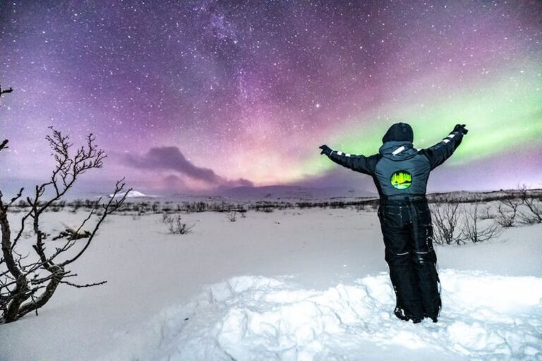 Tromsø Northern Lights Tour
