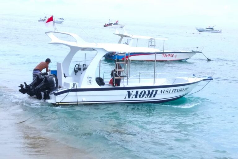 Nusa Penida Manta Point Snorkeling