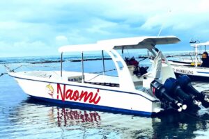 Nusa Penida Manta Point Snorkeling