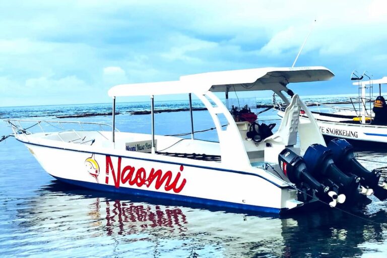 Nusa Penida Manta Point Snorkeling