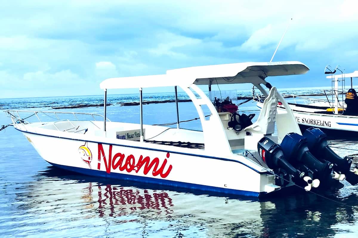 Nusa Penida Manta Point Snorkeling