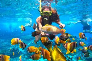 Nusa Penida Manta Ray Tour