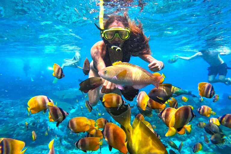 Nusa Penida Manta Ray Tour