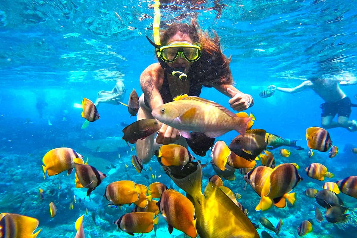 Nusa Penida Manta Ray Tour