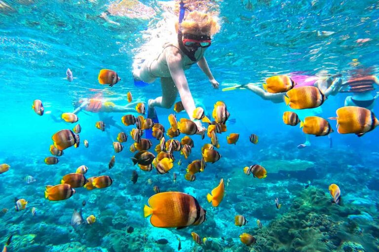 Nusa Penida Manta Ray Tour