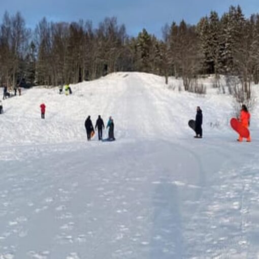 Tromsø Snow Sledding