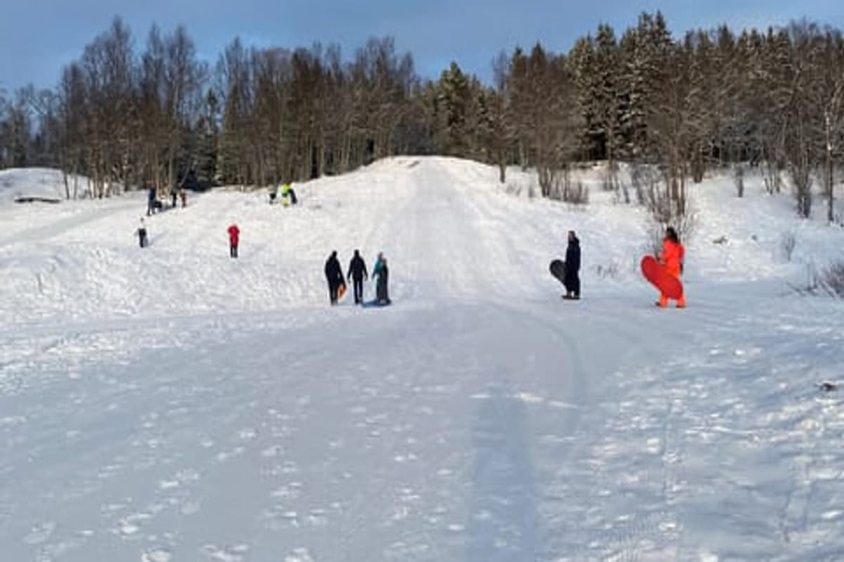 Tromsø Snow Sledding