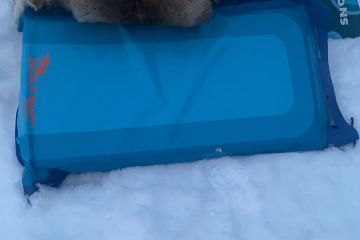 Tromsø Snow Sledding