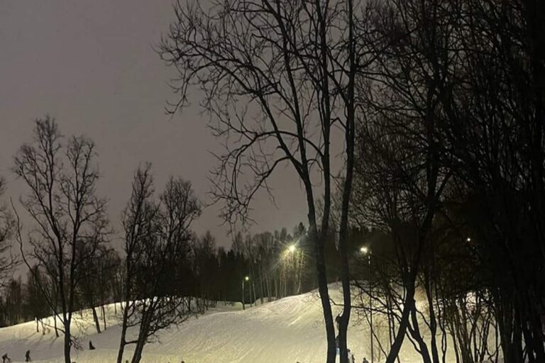 Tromsø Sledding