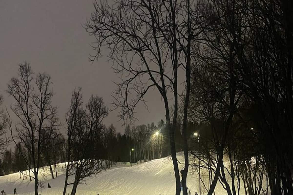 Tromsø Sledding