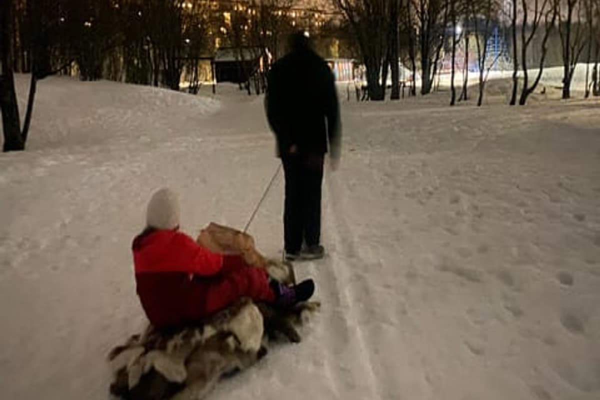 Tromsø Sledding