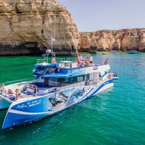 Benagil And Dolphins Vilamoura